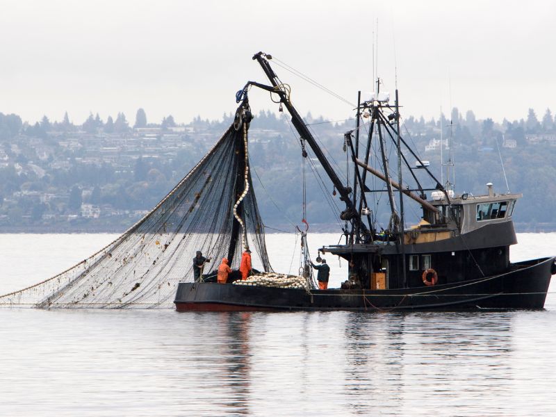 An industrial fishing boat in the middle of the sea